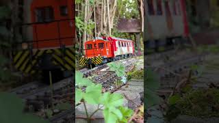 Kurze Überführung auf der Arosa Bahn modelrailway train rhb arosa railmodel garden lgb [upl. by Gladis]