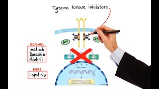 Pharmacology  CANCER DRUGS – CELL CYCLE INHIBITORS MADE EASY [upl. by Adeehsar]