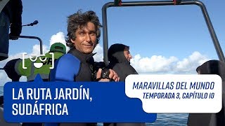 Capítulo 10 La Ruta Jardín Sudáfrica  Maravillas del Mundo  Temporada 3 [upl. by Enimassej]