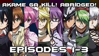 Akame Ga Kill Abridged Episode 13 Recap [upl. by Jed559]