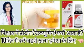 पिशाब में प्रोटीनऐल्ब्यूमिन Best Homeopathic Medicine For ProteinuriaAlbuminuriaBy Drrukmani [upl. by Aztinad]