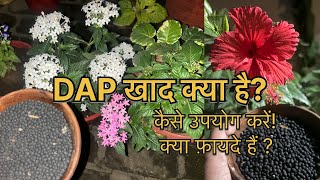 What is Dap FertiliserUses of Diammonium Phosphate [upl. by Rosette]