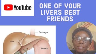 One of your livers best friends [upl. by Osrick]