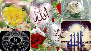 New islamic dp for Whatsapp  Allah Muhammad dpz  best Islamic dpz Islamic dp Dp for girl [upl. by Landahl]