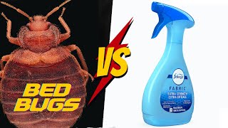 How to use Febreze for Bed Bugs COMPLETE Tutorial [upl. by Leelaj]