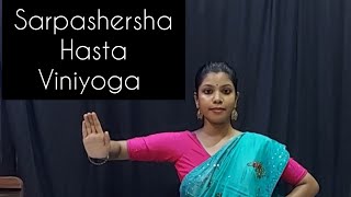 sarpashersha hasta viniyoga dance bharatanatyam classicaldance viniyoga kalakshetra [upl. by Salita]