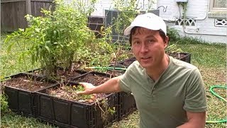 FREE Plastic Crate Raised Bed Garden Update and Irrigation Install [upl. by Suidualc]