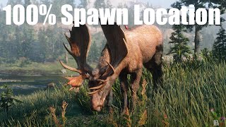 RDR2 Western Bull Moose Location 100 Spawn [upl. by Alben613]