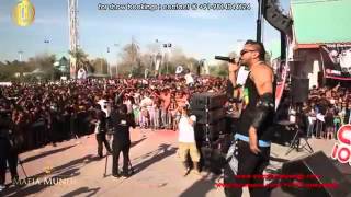 Yo Yo Honey Singh LIVE  Rang De 2013 DUBAI on HOLI [upl. by Rickert386]