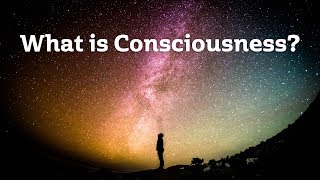 What is Consciousness IS MATTER OR CONSCIOUSNESS AN ILLUSION [upl. by Genesa851]