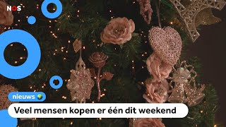 Drukte bij kerstboomverkopers grote bomen zijn populair [upl. by Neilson]