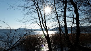 Naturparadies Laacher See in der Vulkaneifel [upl. by Nosnorb857]