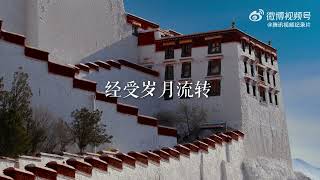 胡歌 Hugh 8月6日胡歌配音的七集大型纪录片《布达拉宫The Potala Palace》开播，敬请期待 [upl. by Patti]