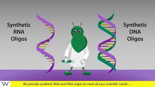 Custom oligonucleotide synthesis  30 years of experience  Dharmacon™ reagents [upl. by Regdor]