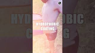 Do You Know About Hydrophobic [upl. by Nyssa]