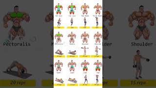 fitness motivation superiores exercicio exercises posterior treino treinar complete [upl. by Nylinnej686]