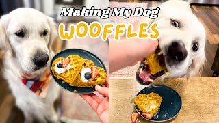 Making My Dog WOOFFLES  Dog Friendly Waffles [upl. by Drawe]