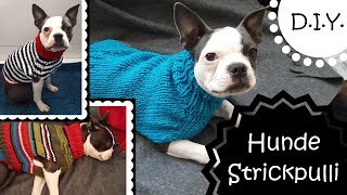 DIY  Strickpulli für Hunde  Do it youself  Anleitung [upl. by Aleiram18]