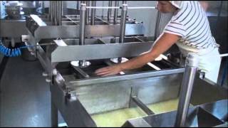 Cheese making 1000l milk manual prepressing pressing [upl. by Herschel850]