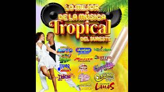 La Mejor Musica Del Sureste  lossuperlamas JuniorKlanOficial musicatropical cumbia superauto [upl. by Timotheus]