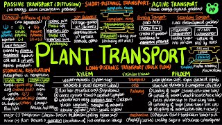 Plant Transport  Plants 06  Biology  PP Notes  Campbell 8E Ch 36 [upl. by Tips]