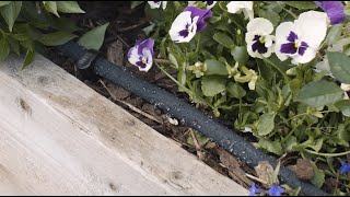 How to Set Up and Use Soaker Hose [upl. by Eipper]