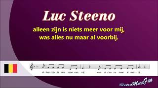 Luc Steeno  Ik mis je elke dag  Karaoke [upl. by Tacye]