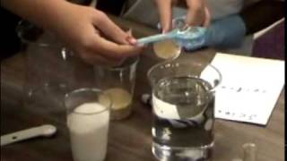 A Chemical Reaction with Sugar and Yeast Observing Gas [upl. by Ribal]