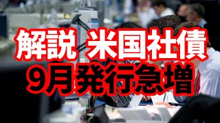 【債券市場】なぜ今アメリカで社債発行が急増しているのか！債券市場の動向を解説！ [upl. by Lulita]