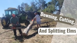 Using Stihl MS 500i for Tree Removal [upl. by Wahl935]