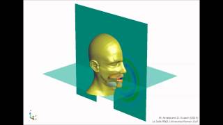 Impulse response vowel a [upl. by Line]