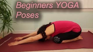 Beginners Yoga Poses [upl. by Ainekahs]