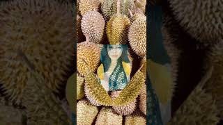 Durian Fruits shorts youtubeshorts trending june440 [upl. by Marika570]