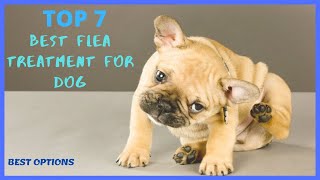 7 Best Flea Treatment for Dog 2020 TOP 7 PICKS amp REVIEWS [upl. by Oj]