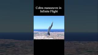 Cobra manoeuvre in infinite flight infiniteflight planes aviation f18 shorts [upl. by Aihset]