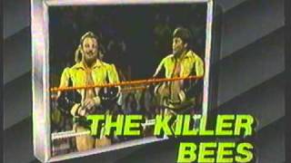 1988 Superstars of Wrestling Promo Killers Bees Rougeau Brothers WWF [upl. by Yuzik]