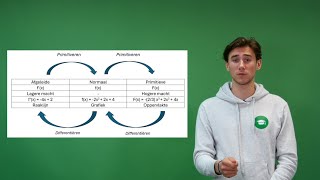 Differentiëren en Primitiveren  Bijles Wiskunde [upl. by Ilatan]