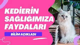 Kedilerin İnsan Sağlığına Muhteşem Faydaları Var [upl. by Marylinda]