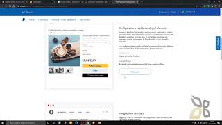 Video Guida  Modulo di Pagamento con PayPal o Carta di Credito e Debito Pagina su Sito eCommerce [upl. by Zelazny158]