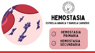 HEMOSTASIA Hemostasia Primaria y Secundaria [upl. by Miran]