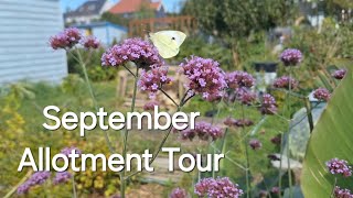 Tour Around My ½ Plot Allotment [upl. by Breger]