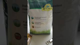 episode 7 lesco rye grass seed [upl. by Janessa399]