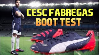 Cesc Fabregas Boot Test  Puma EvoPower 12 FG  F2Freestylers [upl. by Nylimaj]