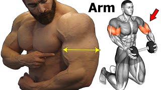 14 Best Workout To Get Big And Perfect Arms [upl. by Anikehs496]