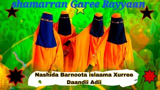 New Nashida shamarranii BarnootaIslaamaa Xurree Daandii Adii [upl. by Vassell]