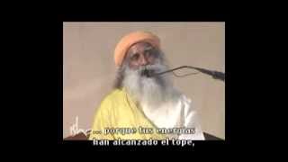 ¿Por qué los yoguis y swamijis tienen barba y cabello largo  Sadhguru [upl. by Yrbua519]