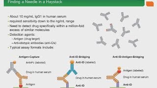 Developing Recombinant Anti Idiotypic Antibodies for PKPD and Immunogenicity Assays [upl. by Cherianne]