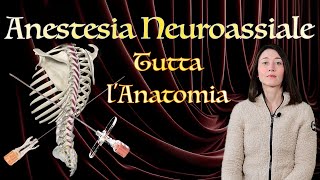 Anestesia Neuroassiale Tutta lAnatomia [upl. by Elazaro]