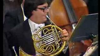 Tchaikovskys 5th Symphony Horn Solo [upl. by Dempster112]