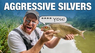 Be More Aggressive When Fishing For Silvers  RodCast  Jamie Hughes and Andy May [upl. by Hedwiga]